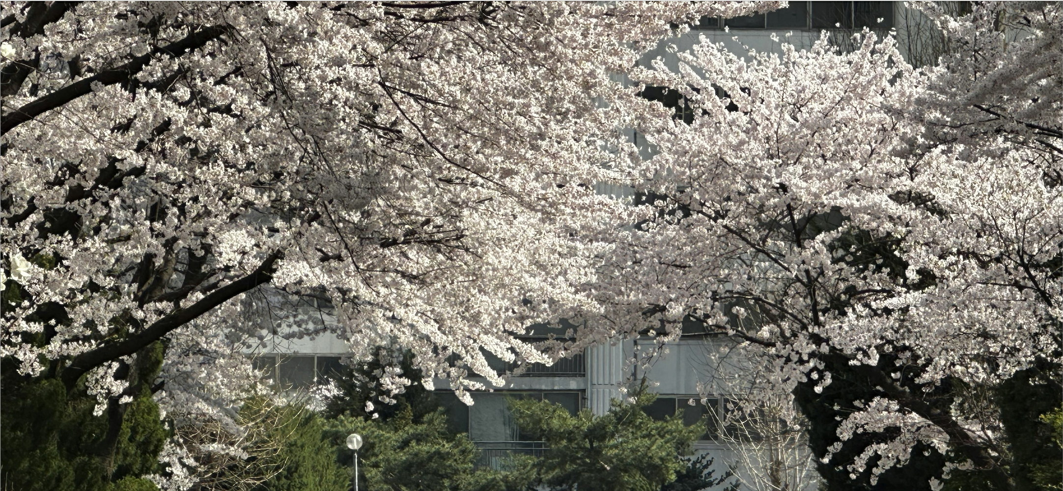 CleanShot 2026-04-16 at 22.11.36@2x