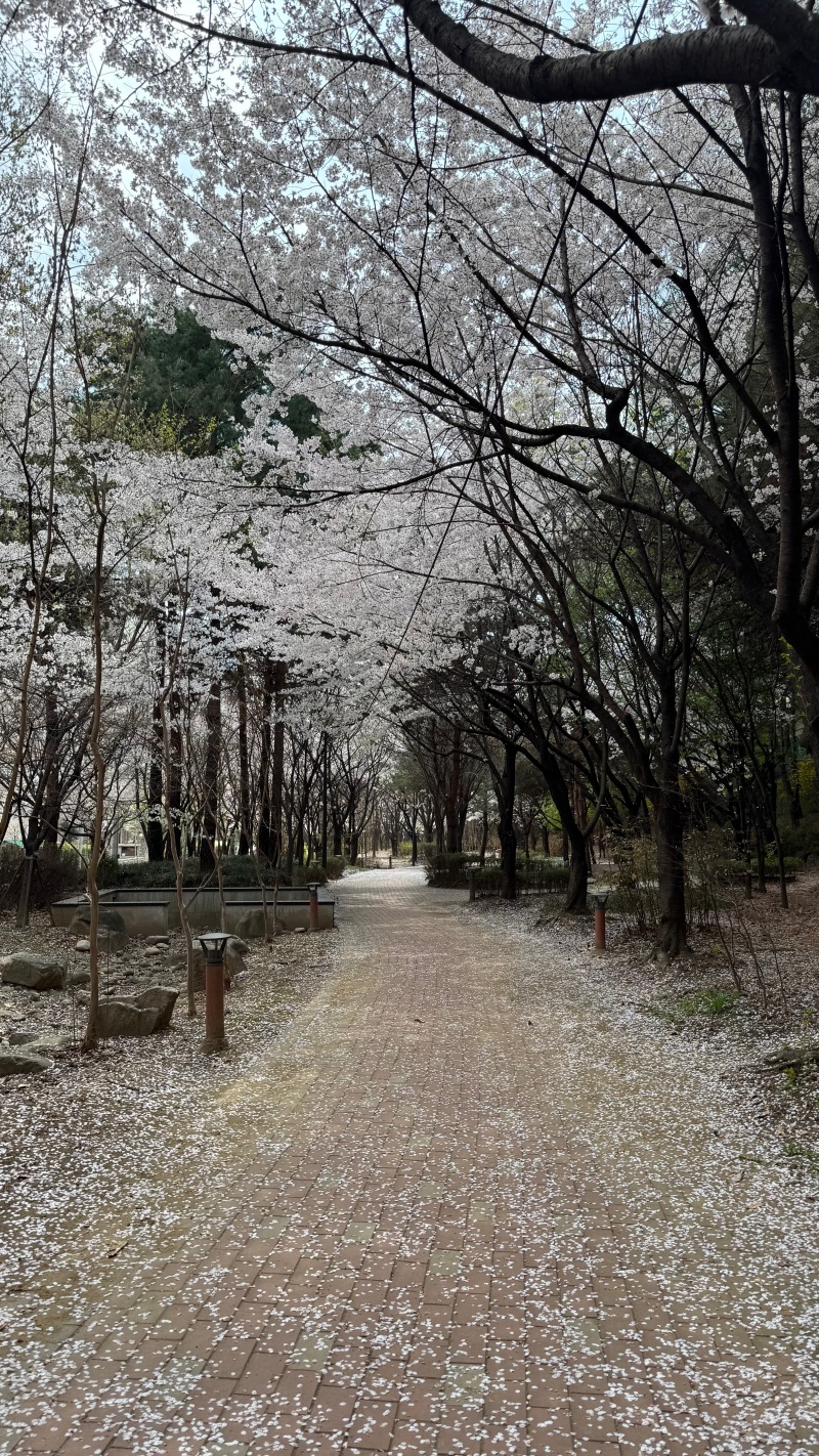 KakaoTalk_Photo_2026-04-16-22-25-12 002