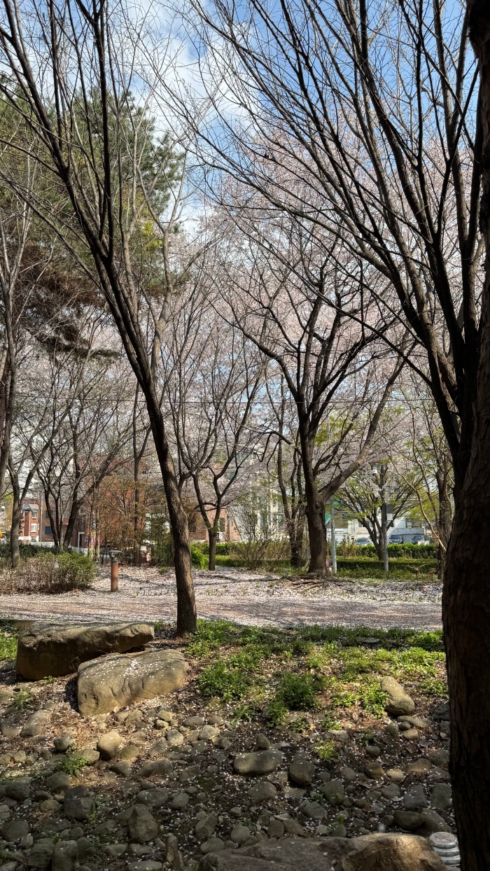 KakaoTalk_Photo_2026-04-16-22-25-12 003