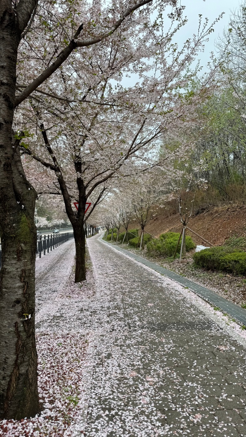 KakaoTalk_Photo_2026-04-16-22-25-22